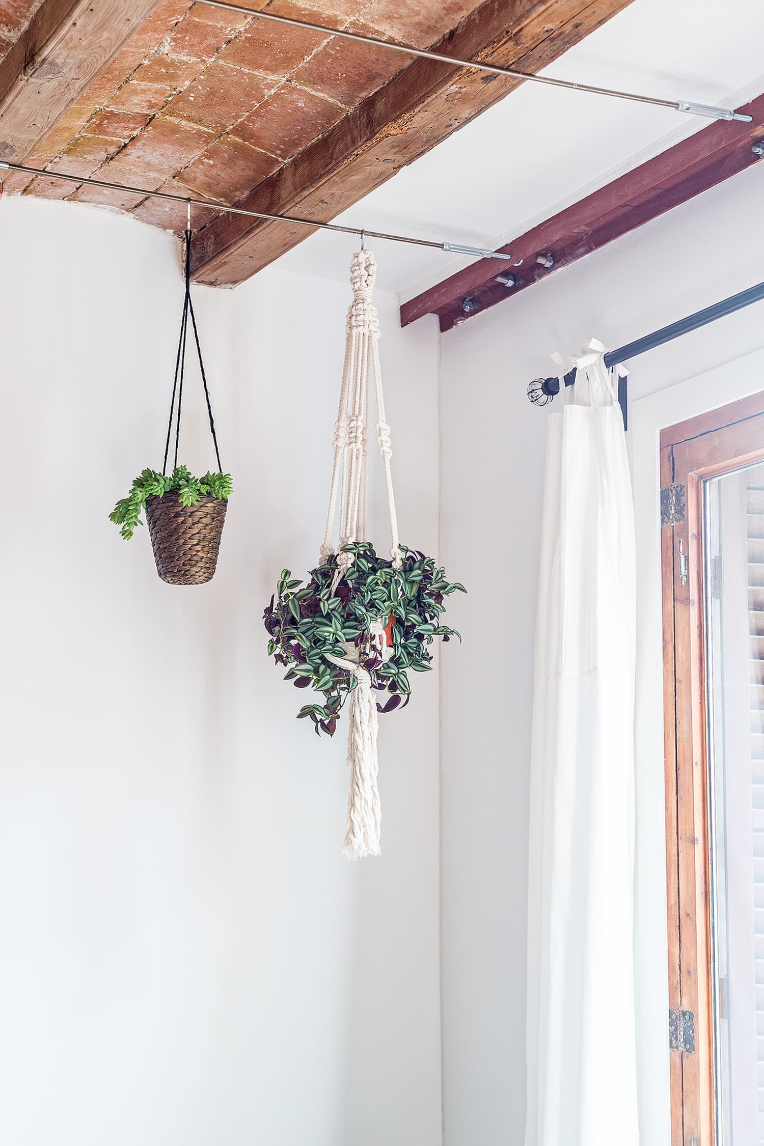 How To Hang Plants From Your Ceiling in Less than 20 Minutes Apartment Therapy